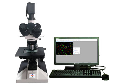 Тестер дисперсии технического углерода DW1431